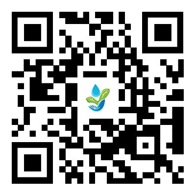 手機(jī)網(wǎng)站